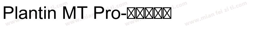 Plantin MT Pro字体转换